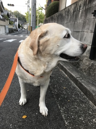 f0315081_22173299.jpeg