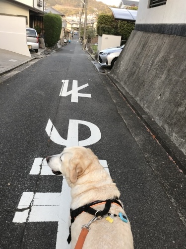 f0315081_22193892.jpeg