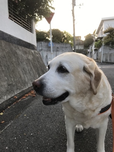f0315081_22203195.jpeg