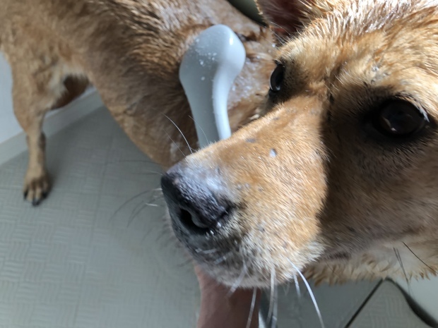 b0377882_23361235.jpeg
