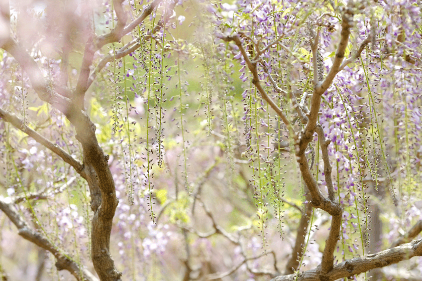 e0243382_00443414.gif