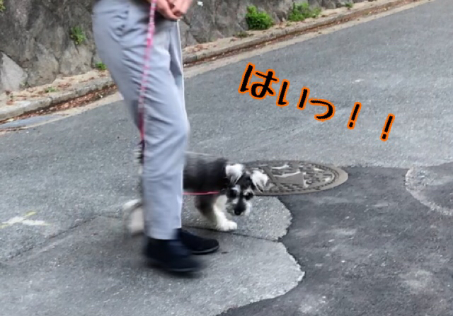 トレーニングブログ_f0357682_21502280.jpg