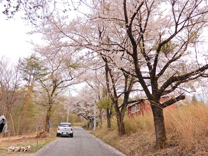 武川町F山さん邸の現場より 3_a0211886_14305100.jpg