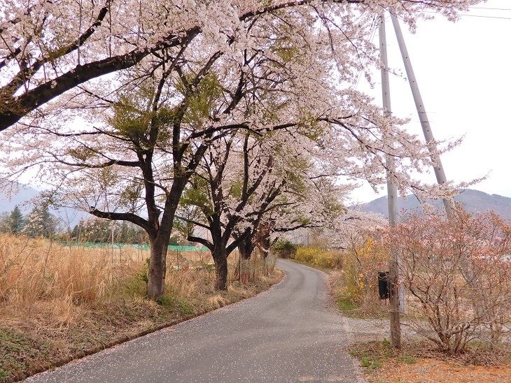 武川町F山さん邸の現場より 3_a0211886_14371372.jpg