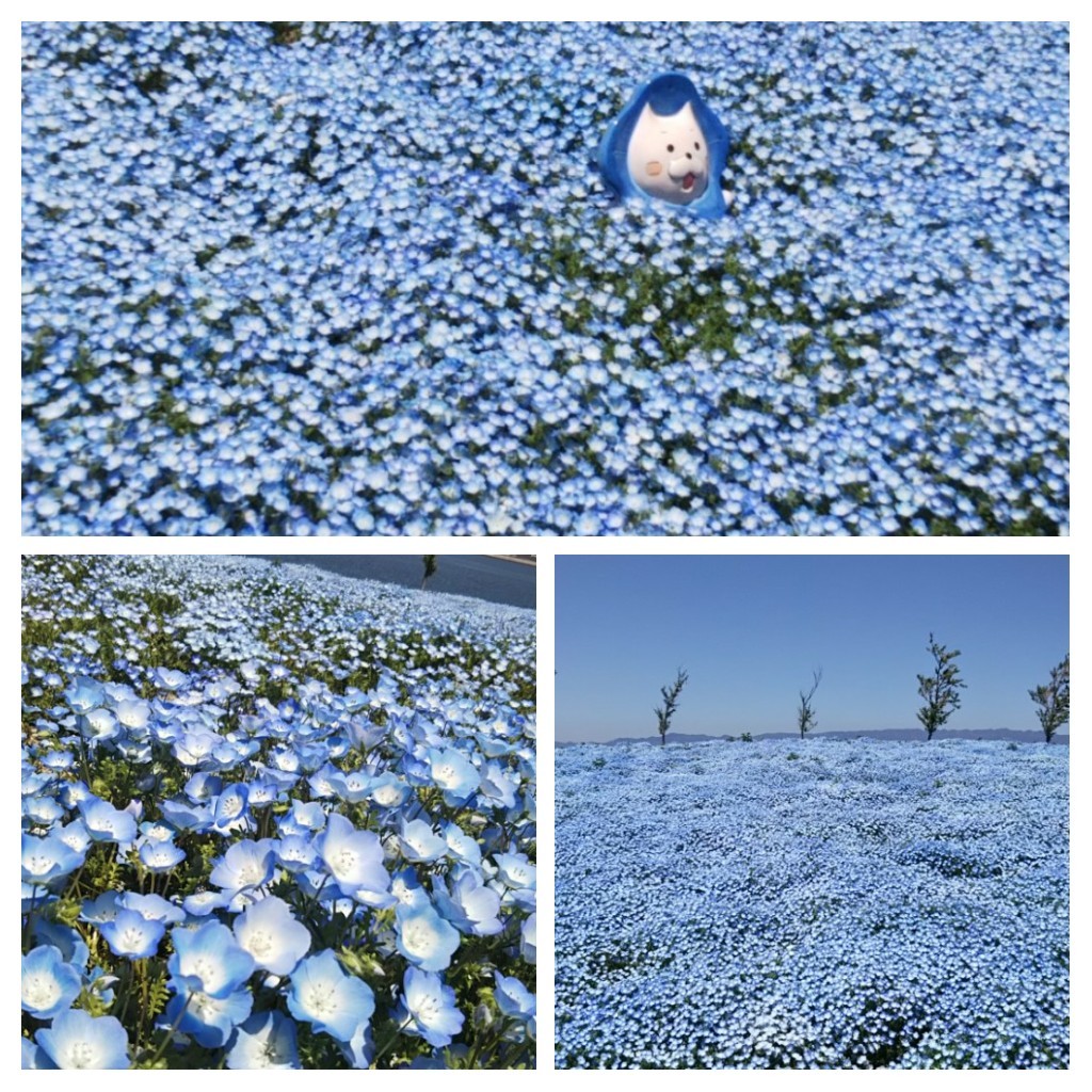 d0052986_16572523.jpg