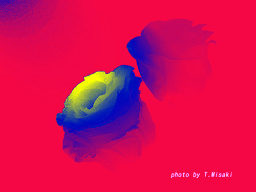 d0085887_06111428.jpg