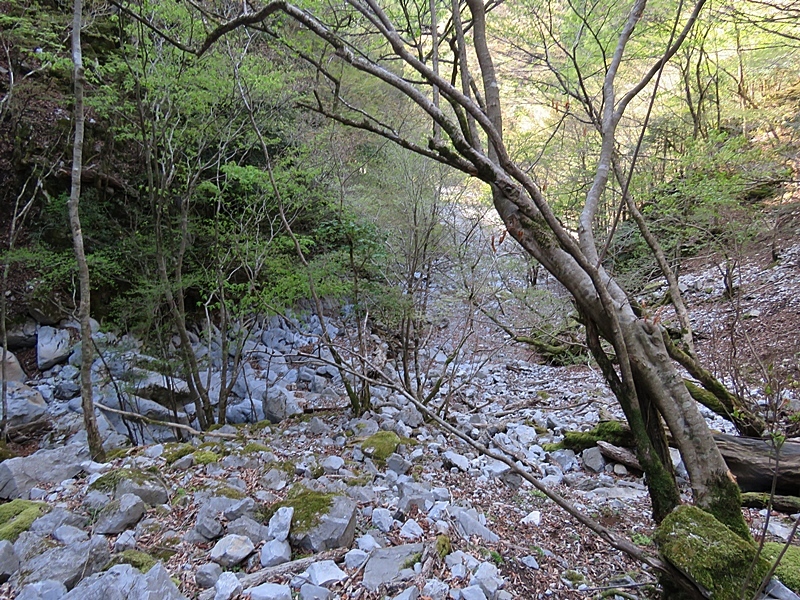 f0357487_21582750.jpg