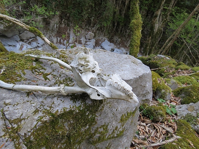 f0357487_21594109.jpg