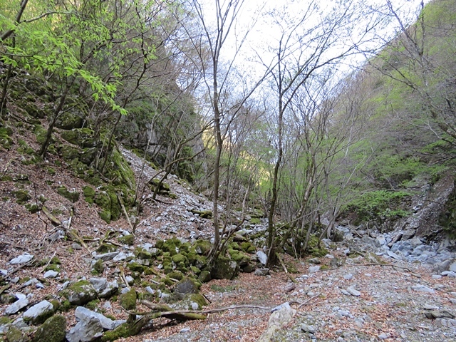 f0357487_22020540.jpg