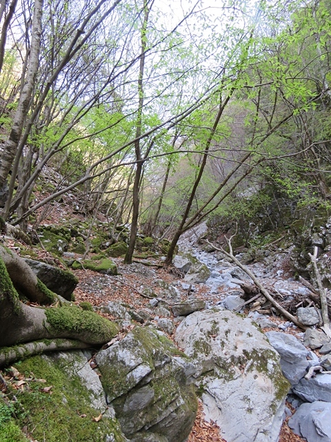 f0357487_22023329.jpg
