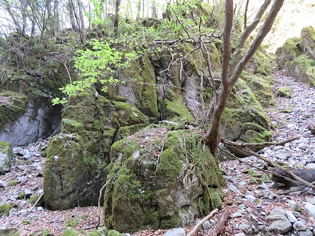 f0357487_22030636.jpg
