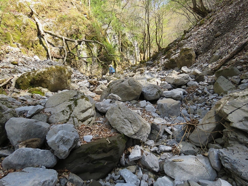 f0357487_22033744.jpg