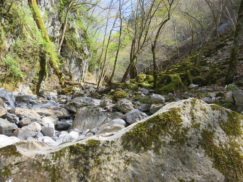 f0357487_22041198.jpg