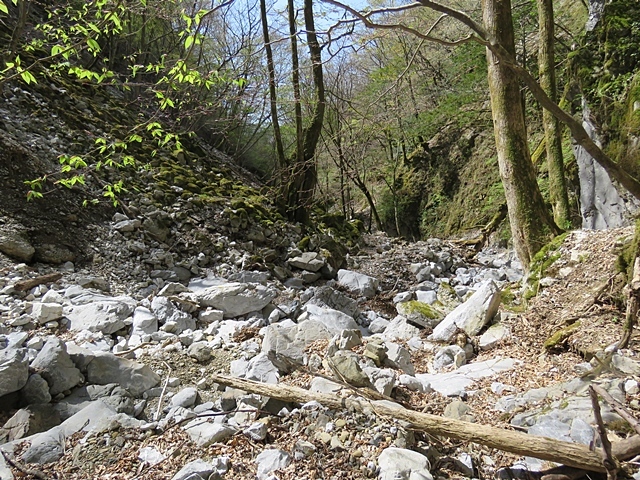 f0357487_22051214.jpg