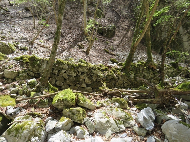 f0357487_22054503.jpg