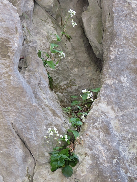 f0357487_22063208.jpg