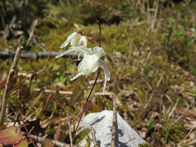 f0357487_22071999.jpg