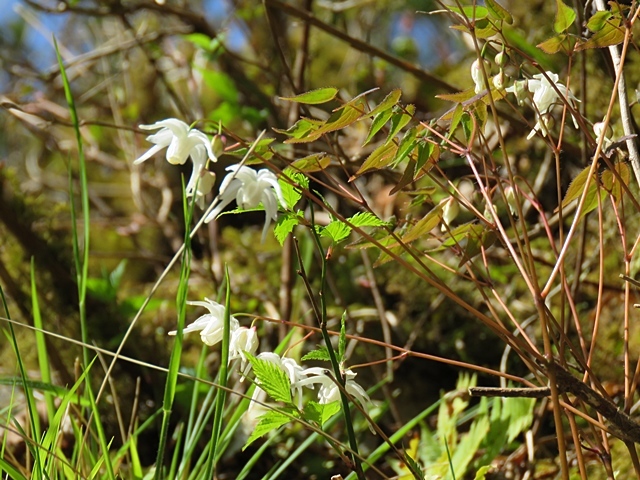 f0357487_22095539.jpg