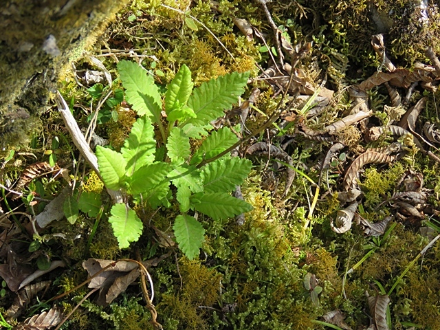 f0357487_22120028.jpg