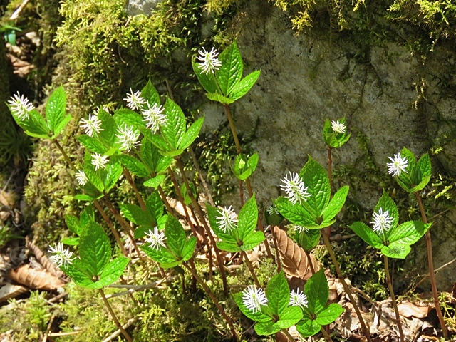 f0357487_22124521.jpg