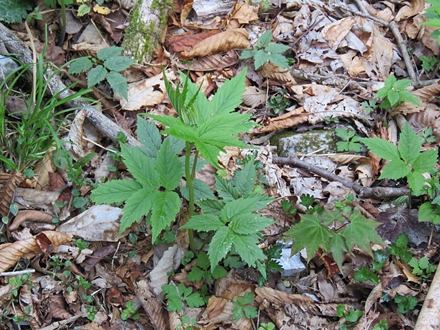f0357487_22172240.jpg