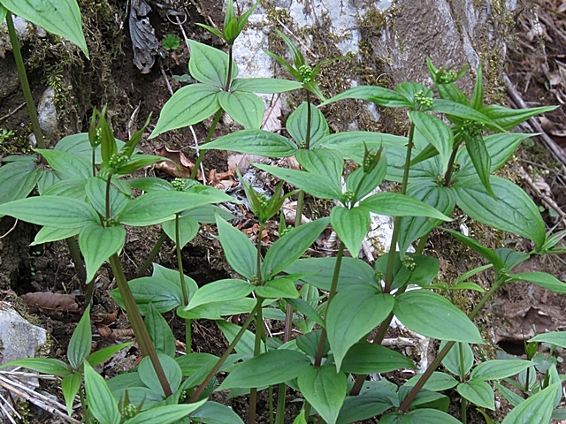 f0357487_22212226.jpg