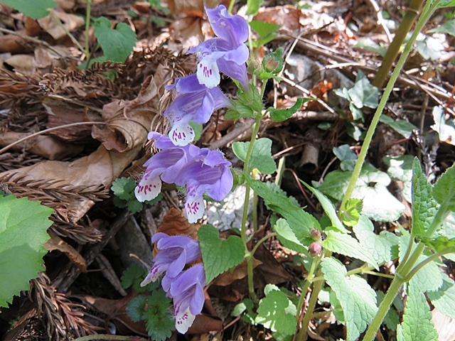 f0357487_22310166.jpg