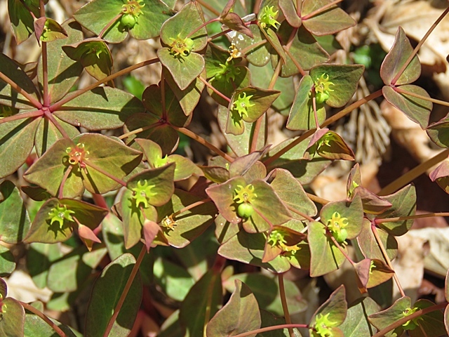 f0357487_22314524.jpg