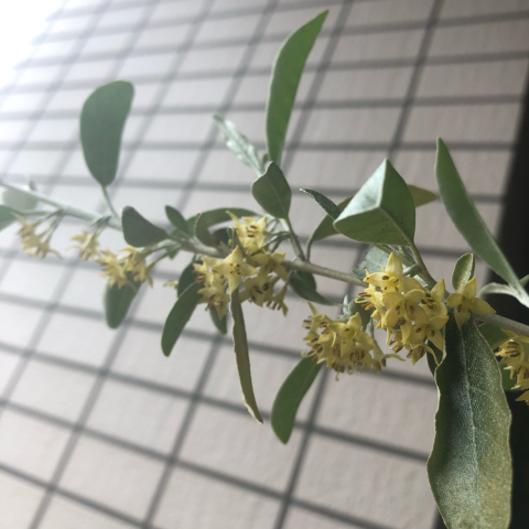 花時間_d0233891_07570595.jpg