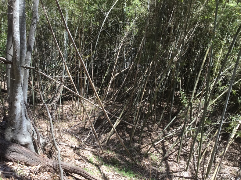 d0356192_18074832.jpeg