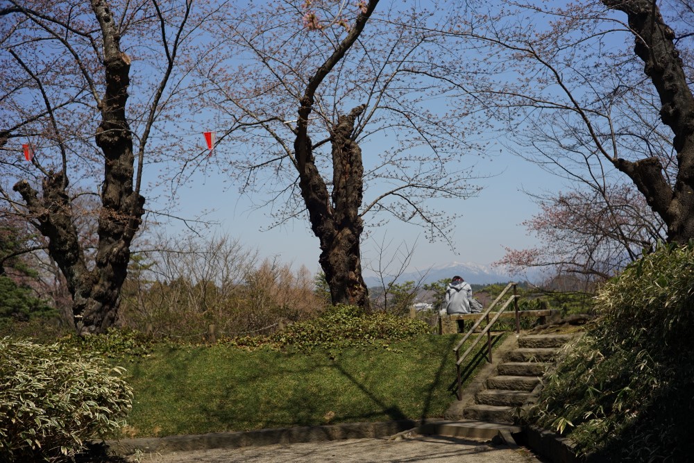 b0155395_9282896.jpg