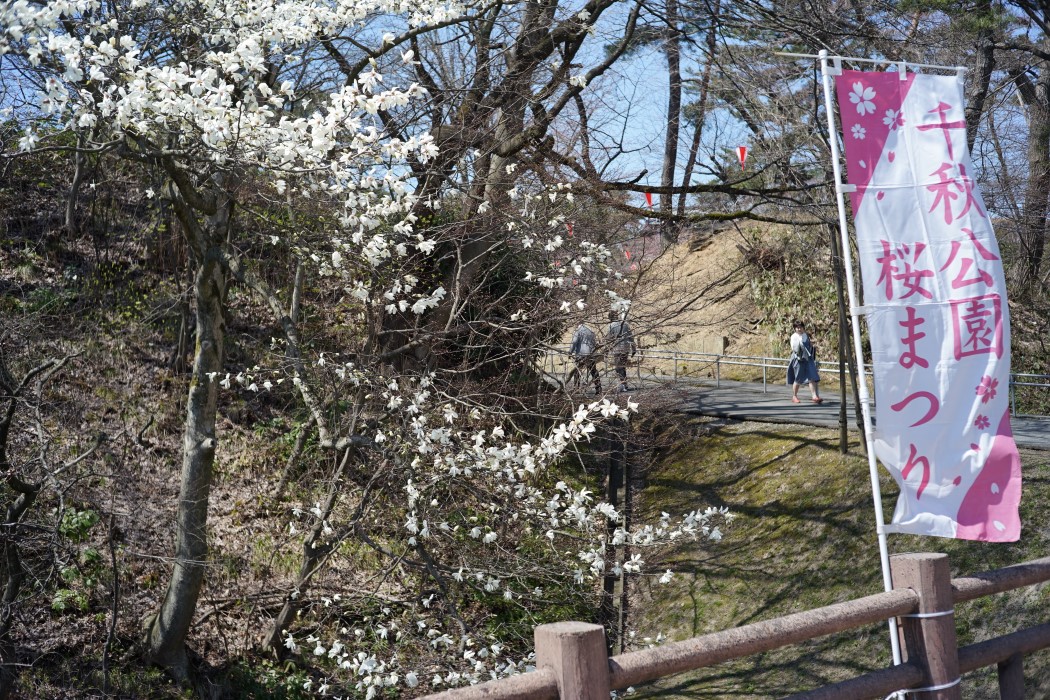 b0155395_928551.jpg