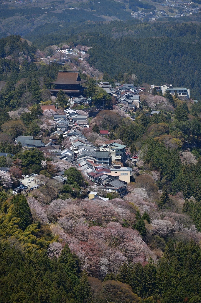 d0288500_21534319.jpg