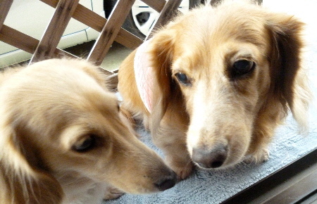 f0178701_09150801.jpg