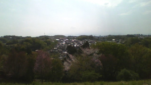 　午後から　小山田緑地へ_e0405404_19450107.jpg