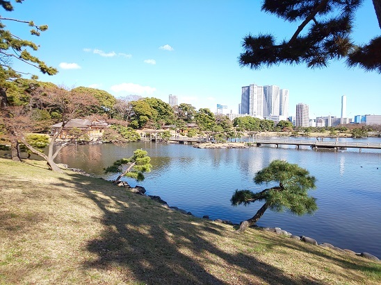 浜離宮恩賜庭園で菜の花畑！_d0140708_14304406.jpg