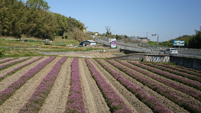f0228619_2021212.jpg