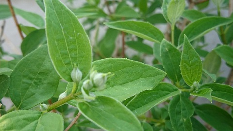 f0228619_20312083.jpg