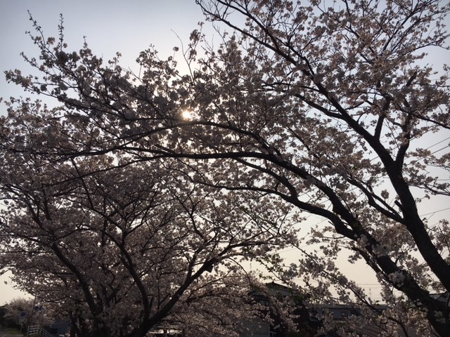 a0265223_22003479.jpg