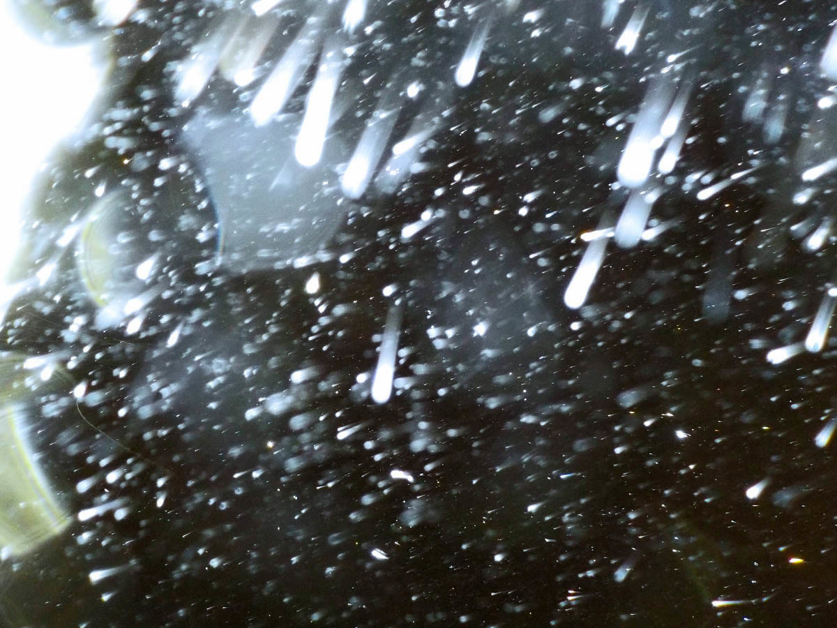 c0331825_21073218.jpg