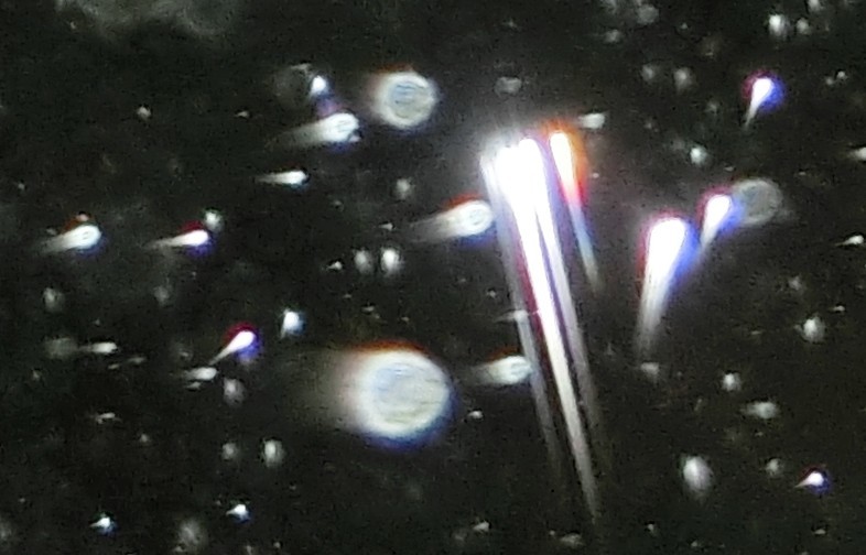 c0331825_21475437.jpg