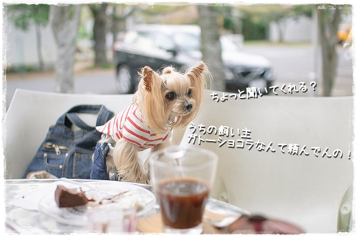 d0179828_14390300.png
