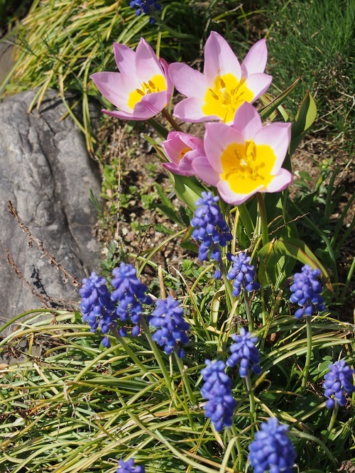 b0368629_09402334.jpg