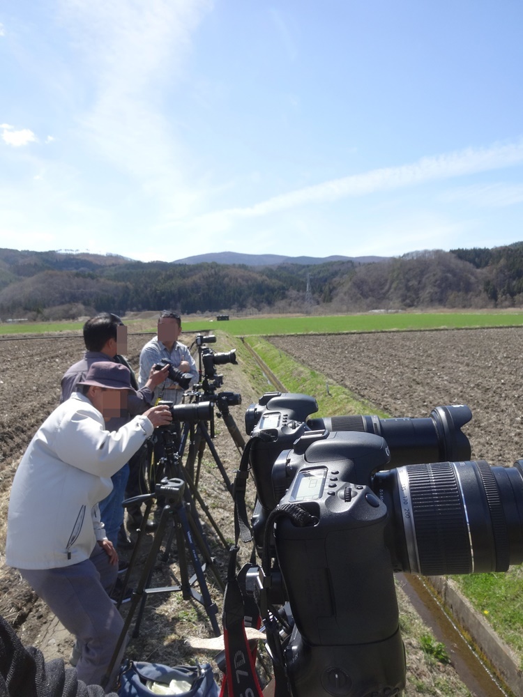 仕事の合間に撮り鉄_c0111229_19322022.jpg