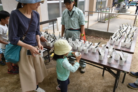 【お知らせ】GWはのんびり動物園へ♡（オタリアもぐもぐタイム） _a0116430_15453296.jpg