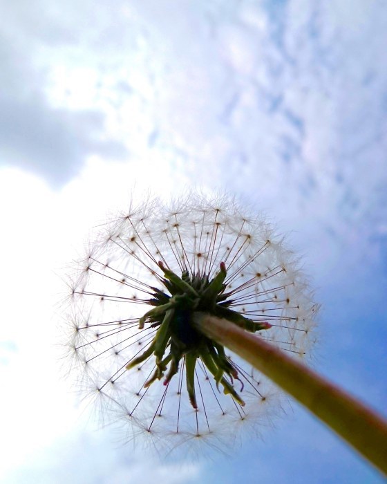a0230831_20404701.jpg