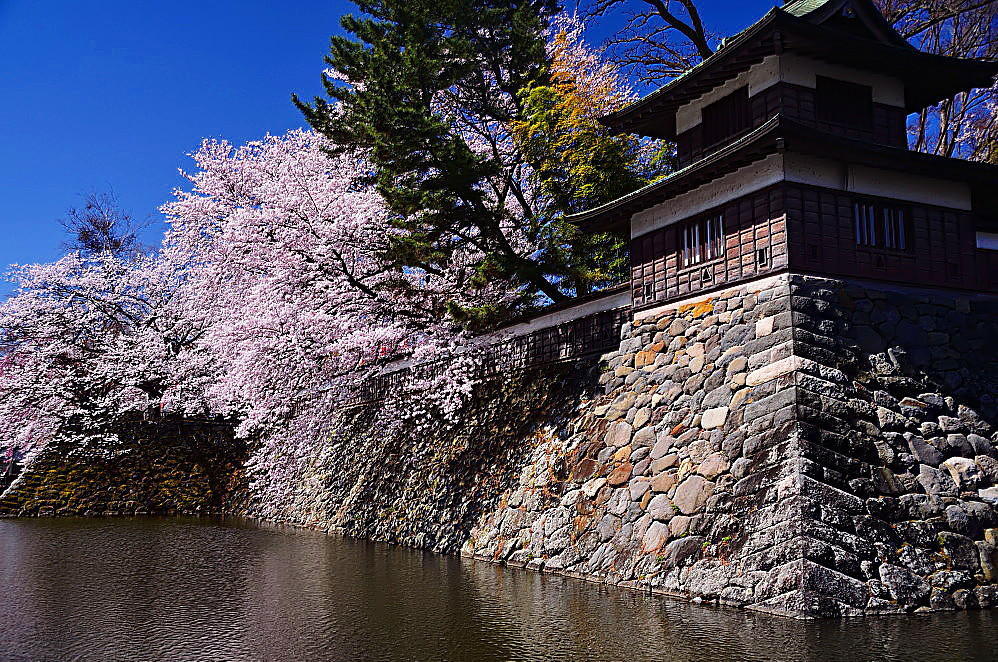 お濠の桜_a0287533_16234459.jpg