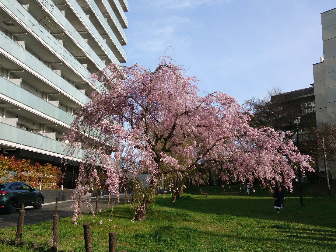 e0263536_14021895.jpg