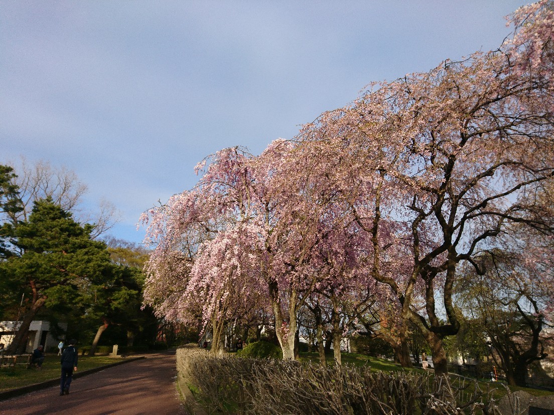 e0263536_14112413.jpg