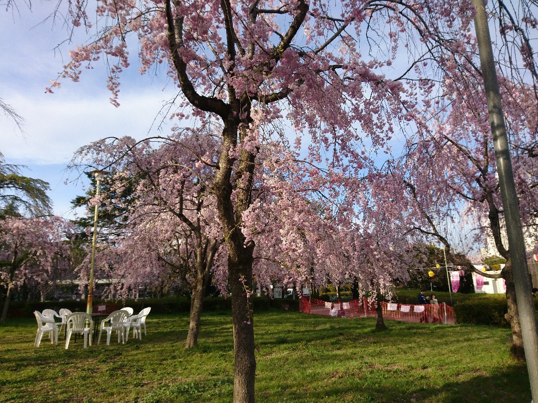 e0263536_14133267.jpg